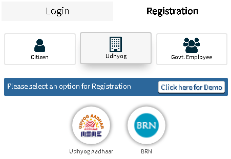 Rajasthan udhyog registration options page